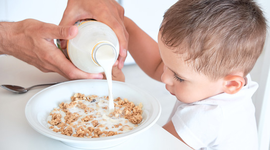 Boy eating cereals with milk